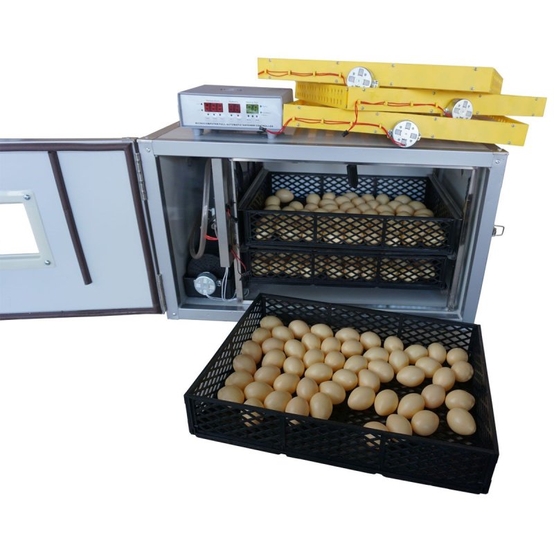 Инкубатор для яиц FHQ-MN-24/56 Intelligent incubator Controller