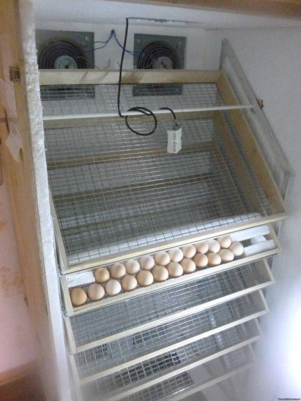 Инкубатор МБФ 200