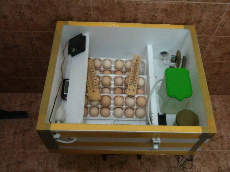 Инкубатор йасаш