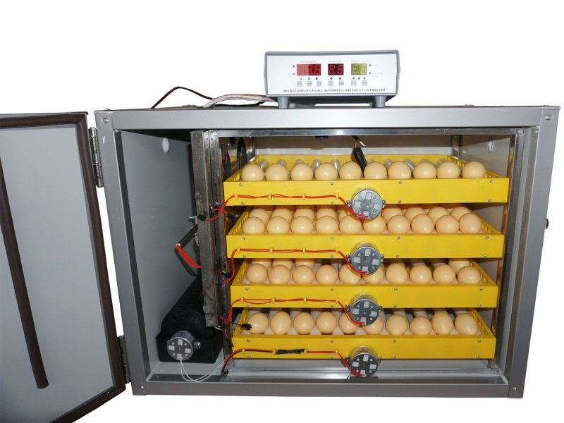 Инкубатор Zhangguang 120