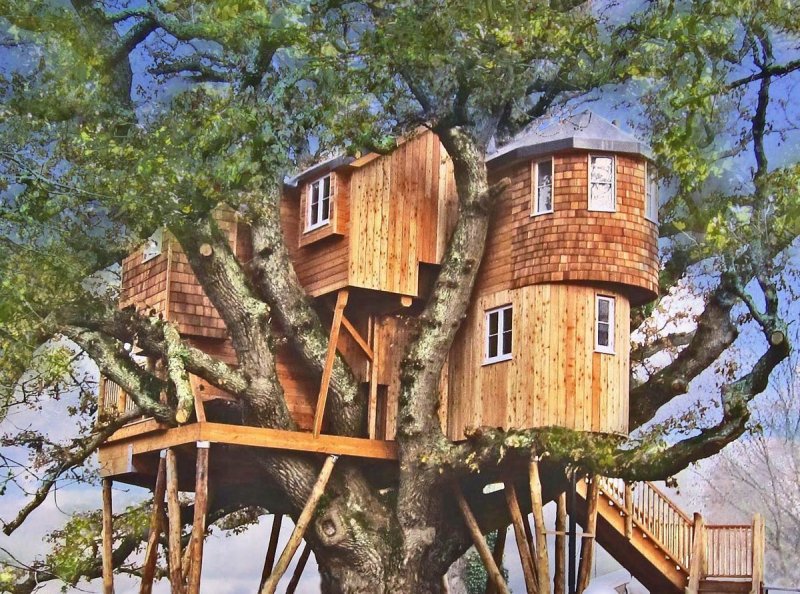 Жилой дом «Tree House»