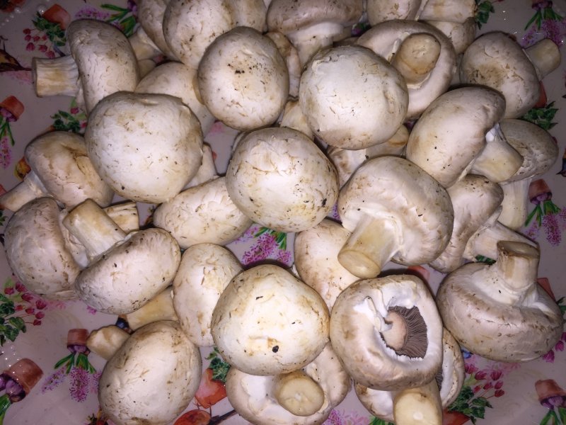 Шампиньоны польза