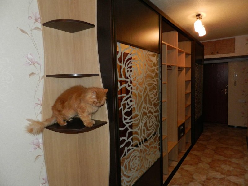 Шкаф купе в длинную прихожую