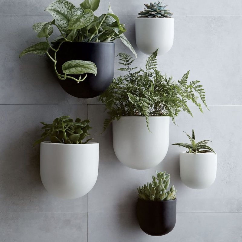 West Elm горшки