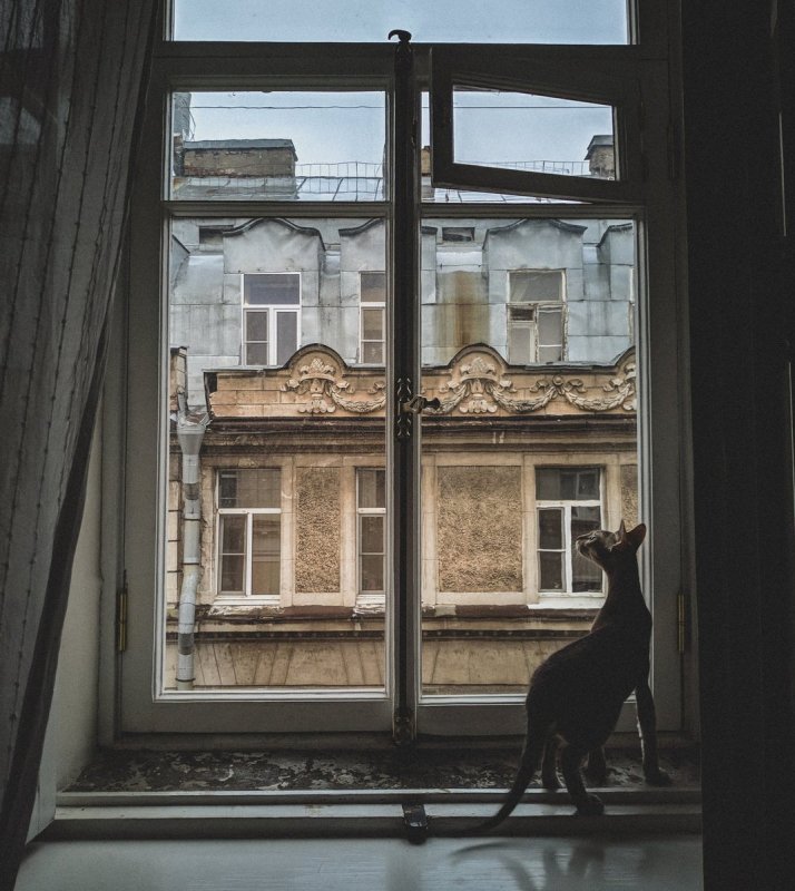 Вид из питерского окна