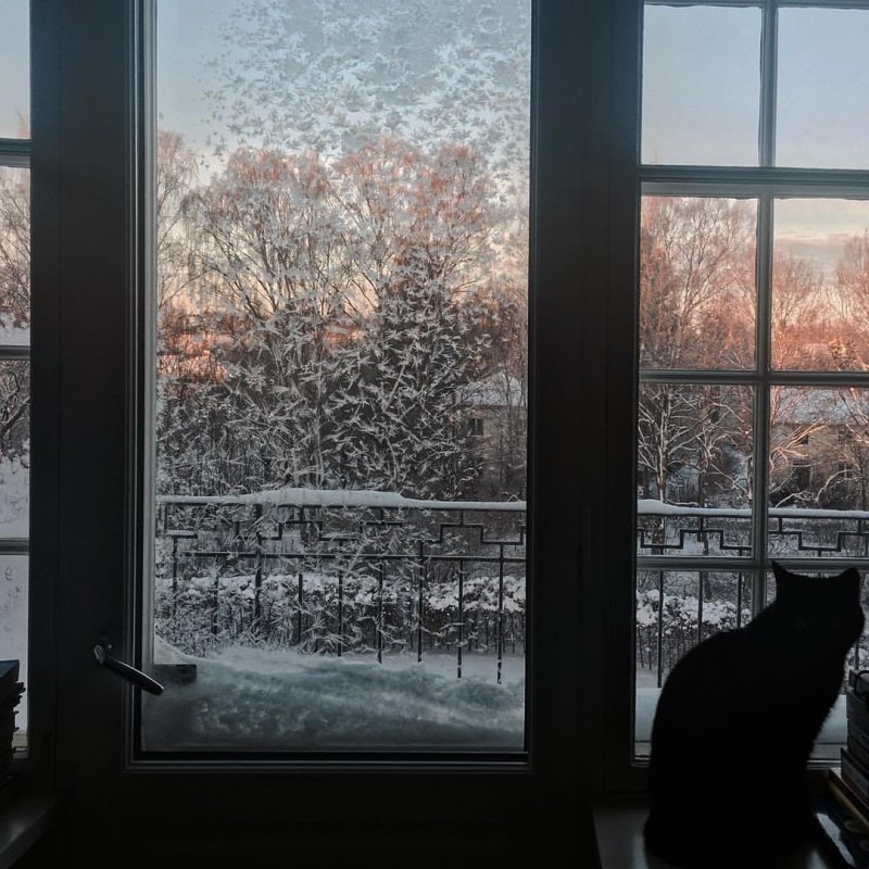 Зимний вид из окна