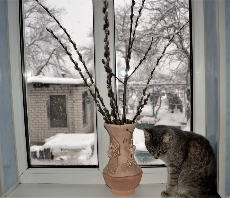 Окно зима