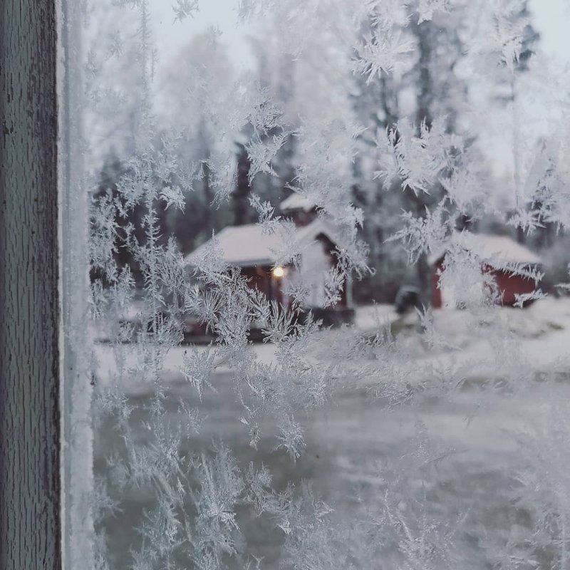 Зимний вид из окна