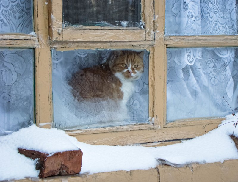 Зимний вид из окна