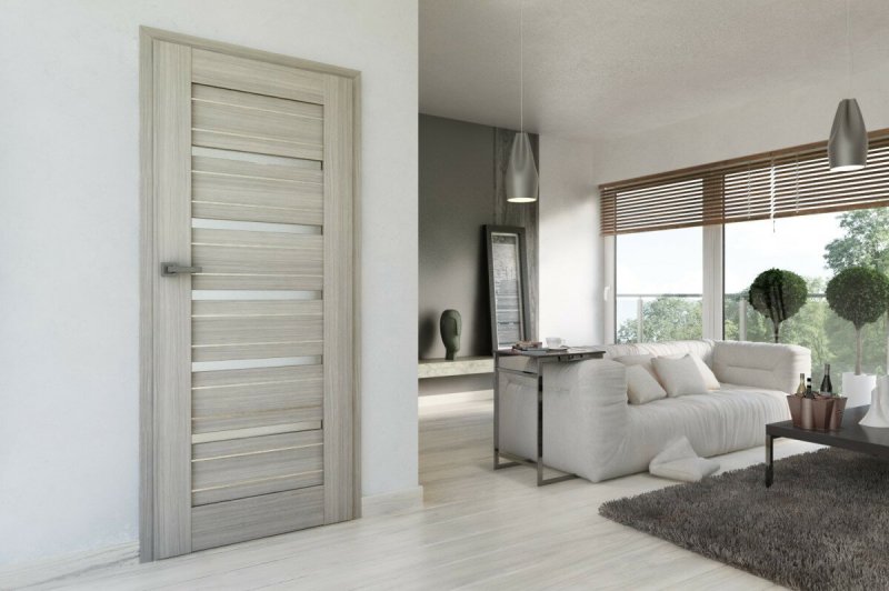 Дверь межкомнатная Hormann Designline concepto RAL 7016