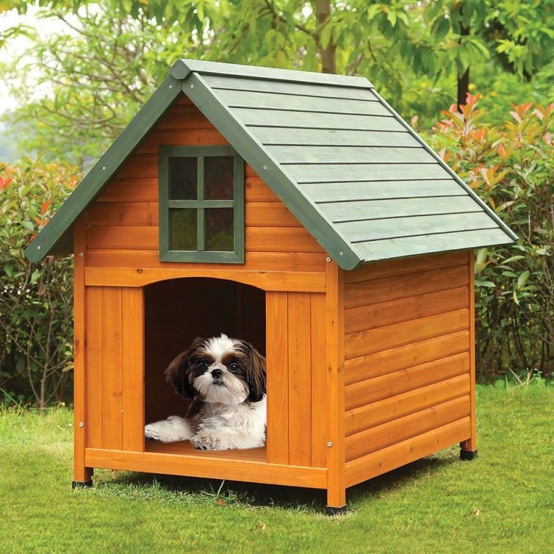 Конура собак Dog House