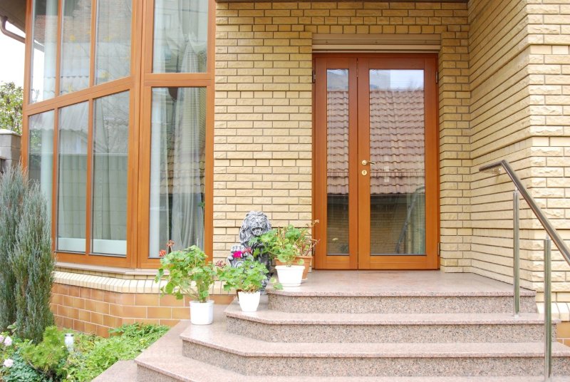 Входные стеклянные двери в загородный дом