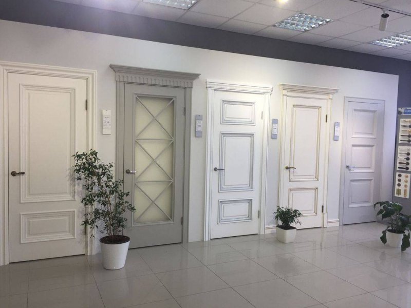 Межкомнатные двери потенциал