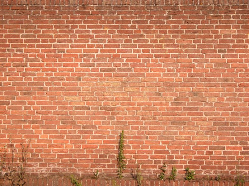 Red Brick (красный кирпич) сайдинг