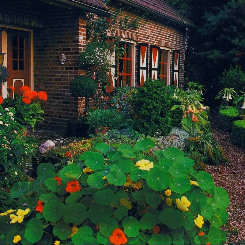 Клумбы в палисаднике