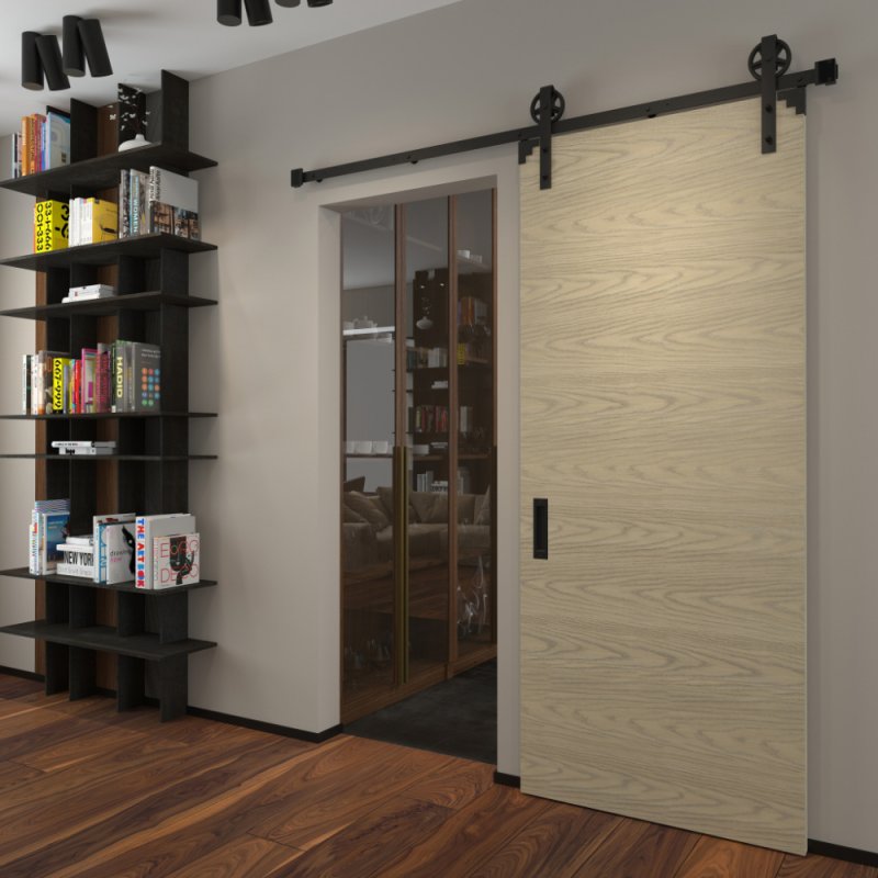 Barn Door с зеркалом