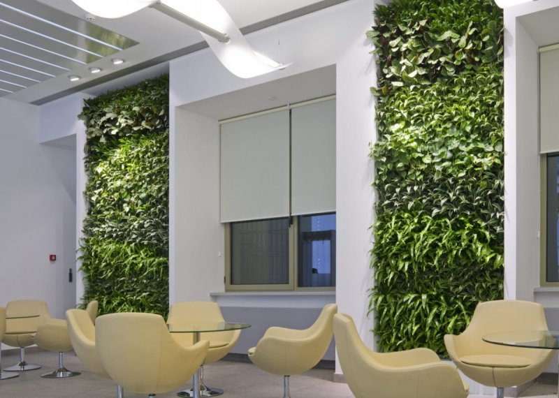 Green Sun фитостены