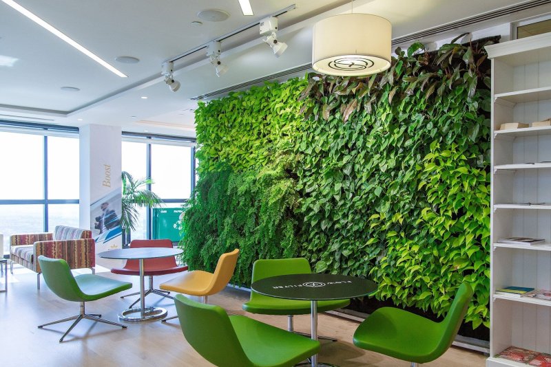 Green Sky фитостены