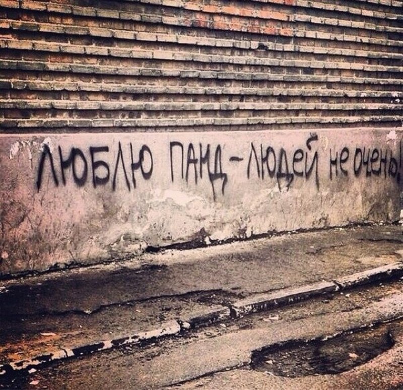 Интересные надписи на стенах