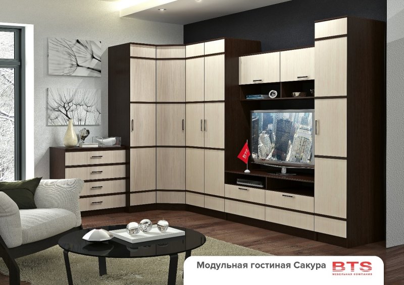 Гостиная Орион ясень шимо светлый