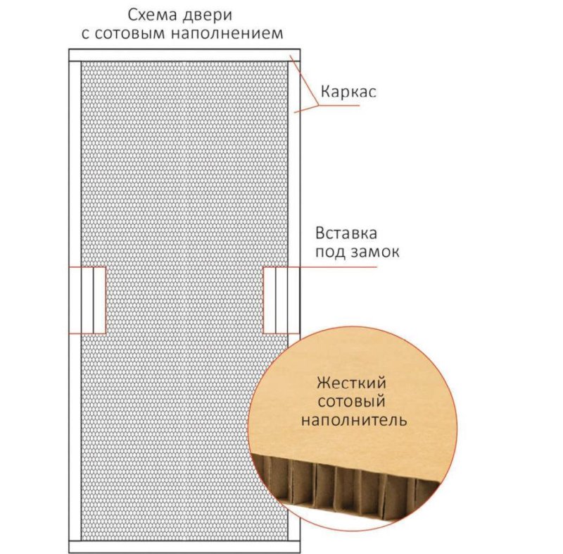Flush Door