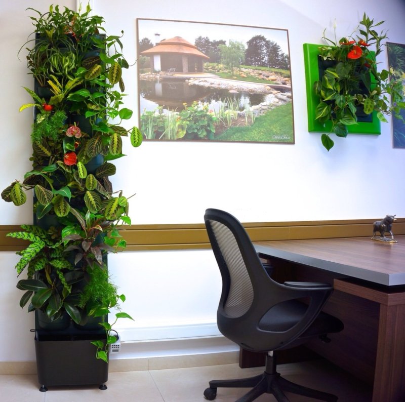 Фитомодули Flowall
