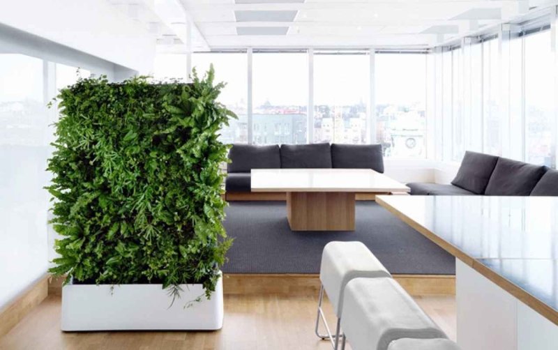 Greenery Озеленение интерьера