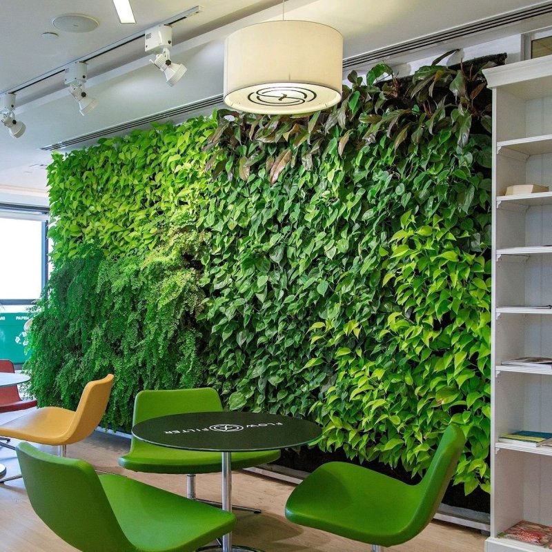 Green Sky фитостены