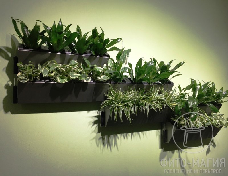 Фитомодули Flowall