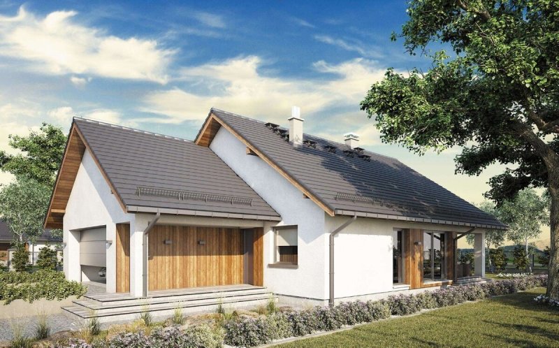 Barn House с односкатной крышей
