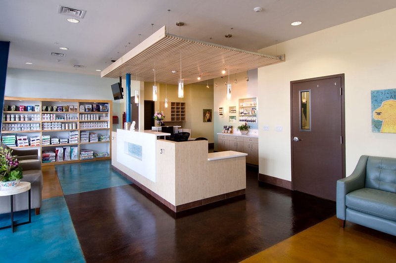 Veterinary Clinic Design
