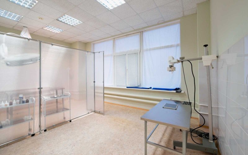 Помещения в ветеринарной клинике