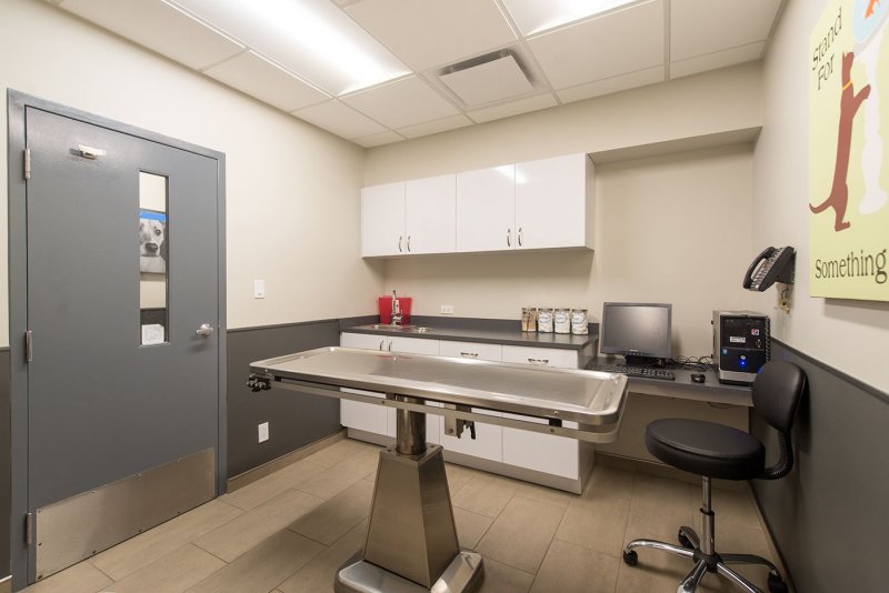 Veterinary Clinic Interior