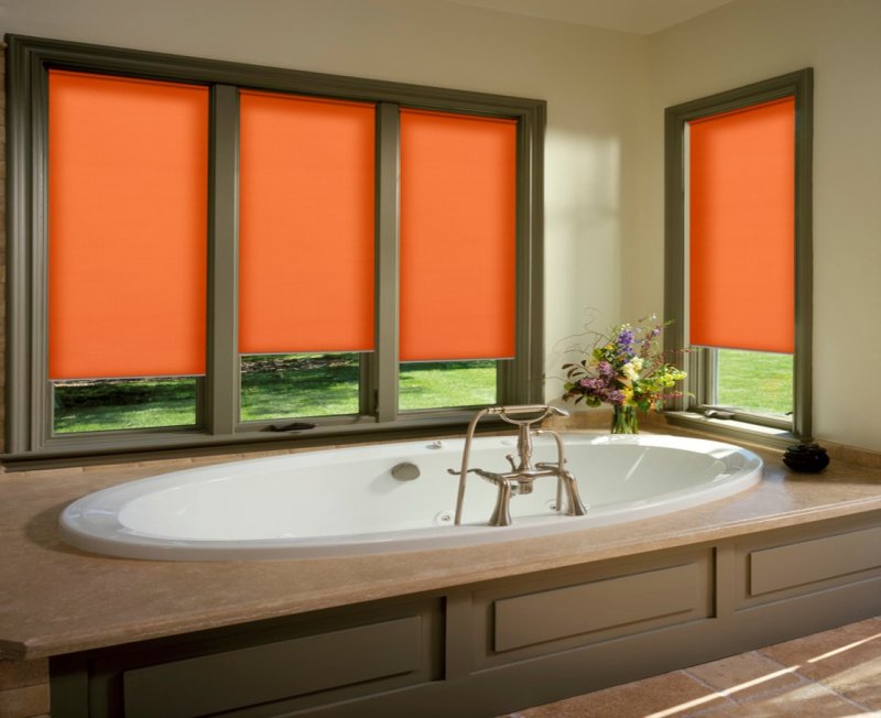 Bathroom Window Blinds