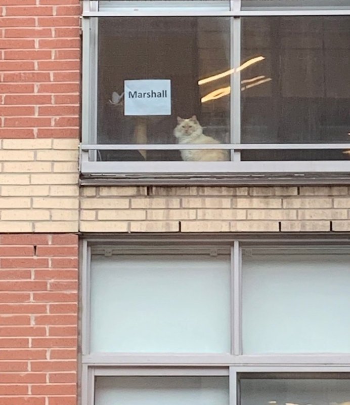 У окна