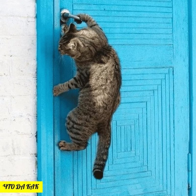 Кот открывает дверь