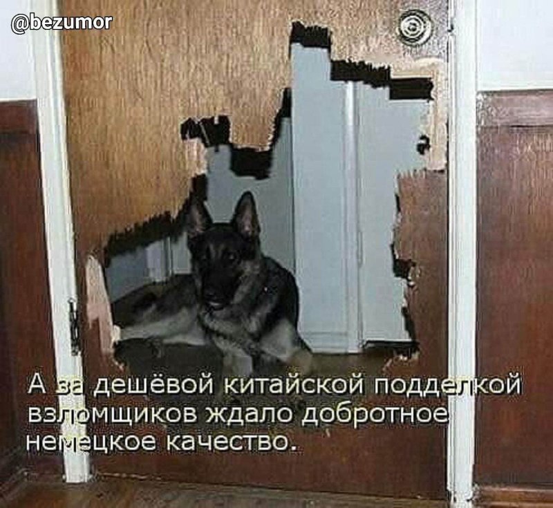 Ждут за дверью прикол