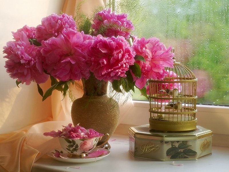 Пионы ранункулюсы Гардения Камелия