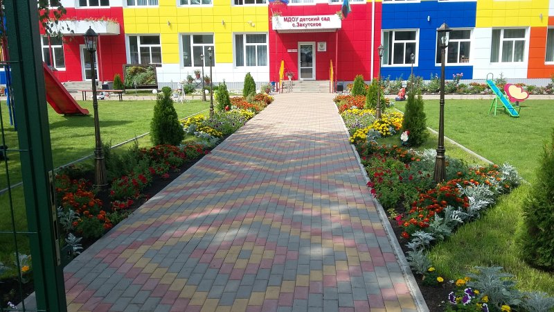Озеленение участка в детском саду