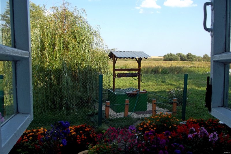 Фотообои окно видом на природу