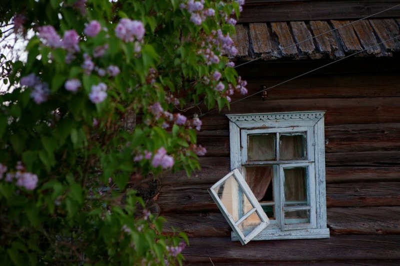 Открытое окно