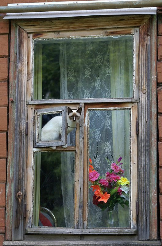 У окна
