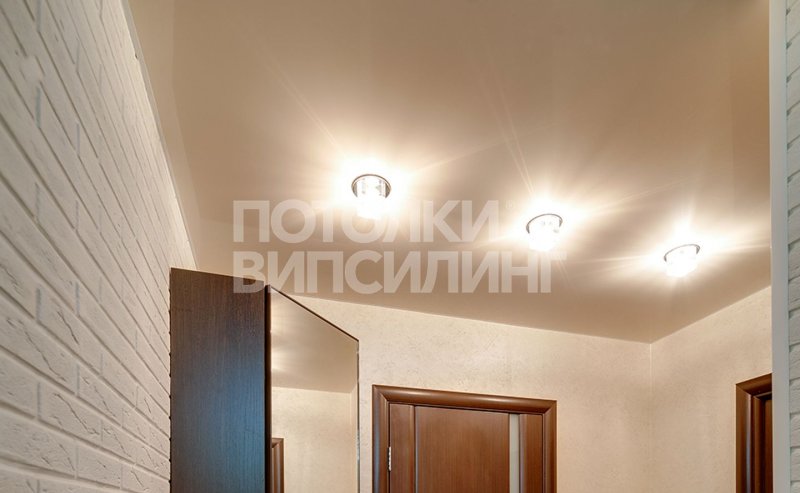 Modern Ceiling Light светильник