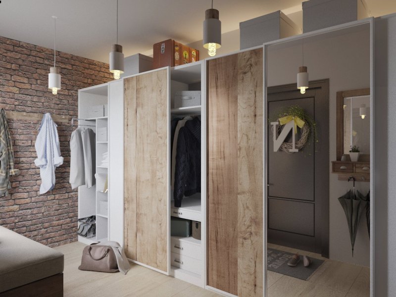 Шкаф-купе Loft kupe1245z1