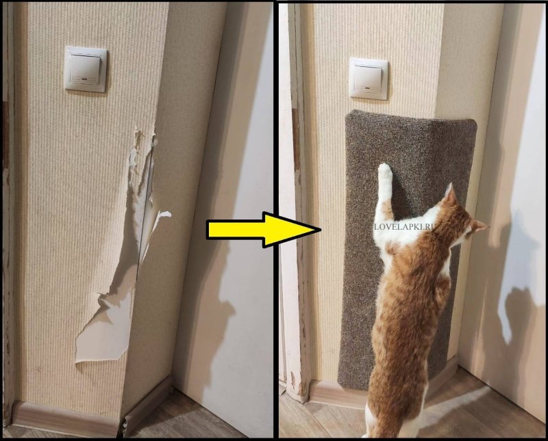 Когтеточка на дверной косяк