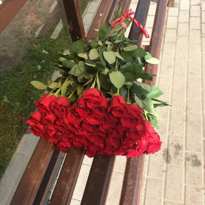 Красные розы Монохромная клумба