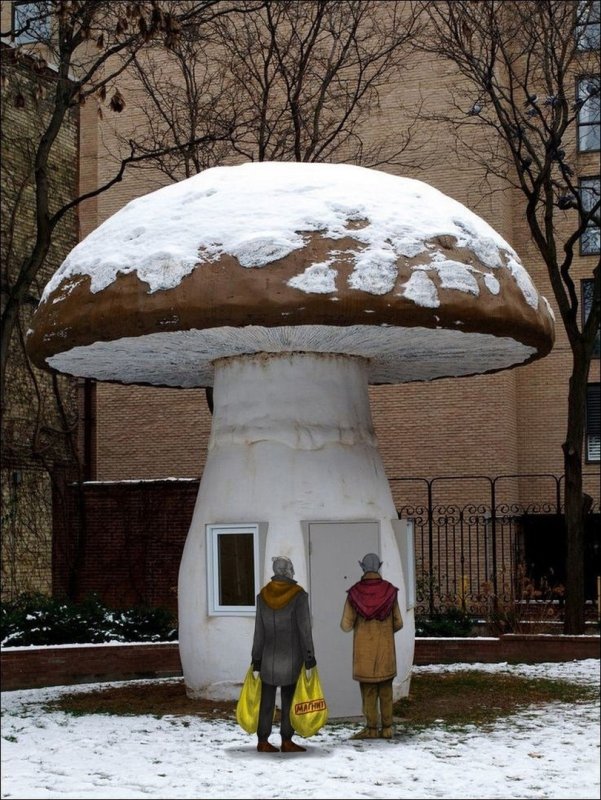 Дом в виде гриба