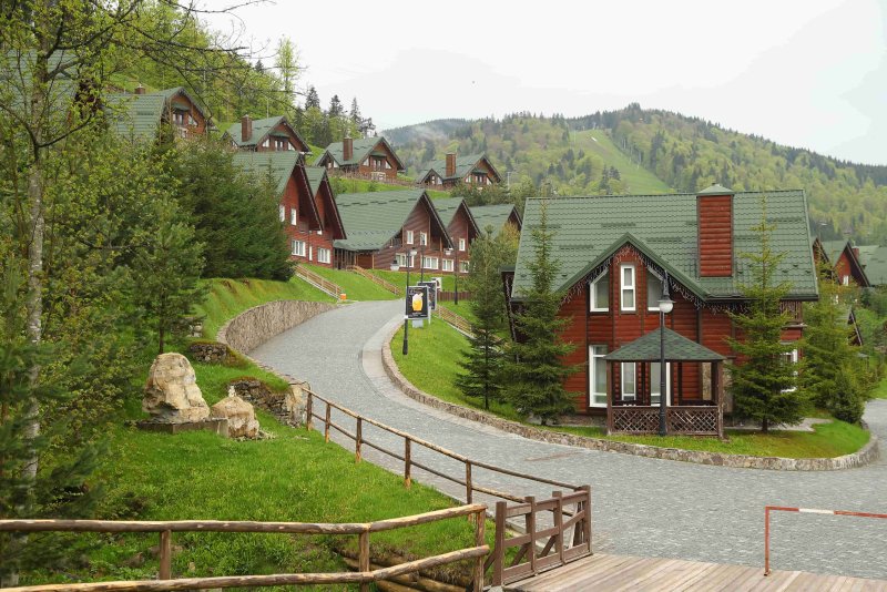 Карпаты дом
