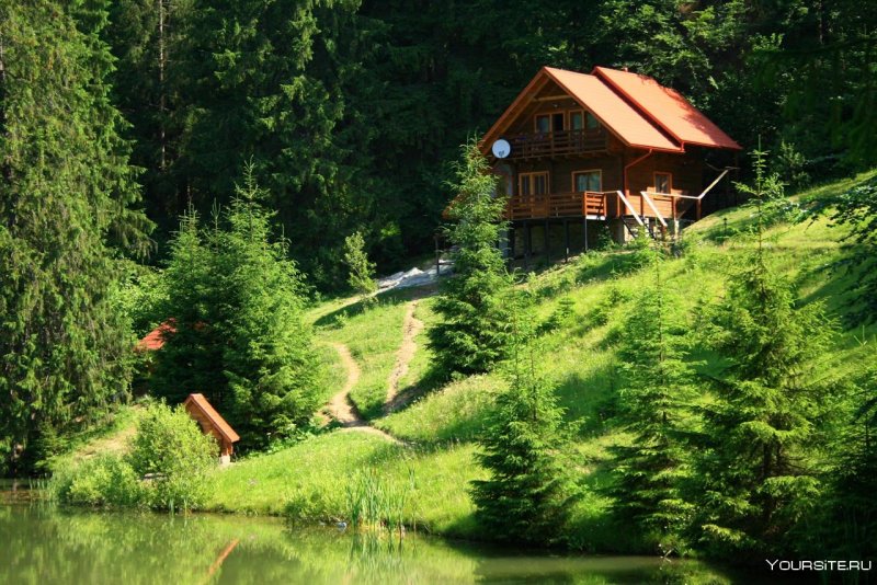 Закарпатье домики в лесу