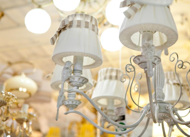 Люстра Maytoni arm013-06-w Bird